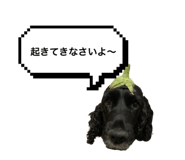 799455140