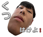 799477446
