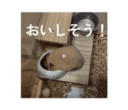 799500857