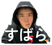 799508225