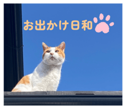 799513585