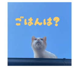 799513590
