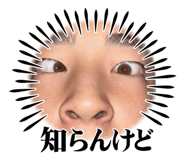 799513947