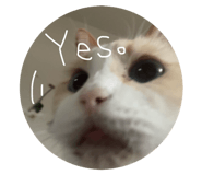 799523843