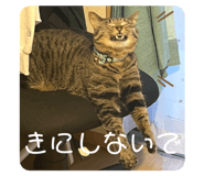799523869