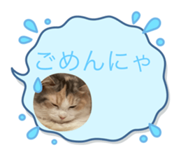 799525798