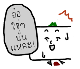 7995305