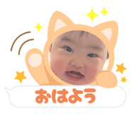 799545361