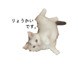 799557637