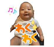 799562213