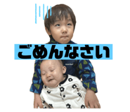799562215
