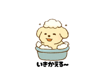 799569981