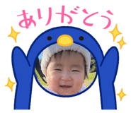 799575528
