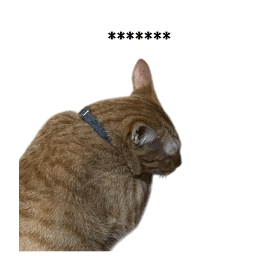 799580168
