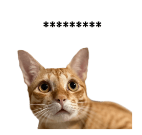 799580172