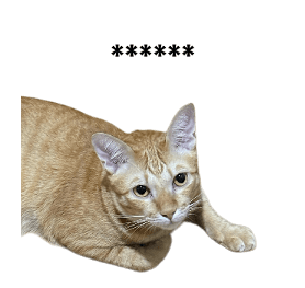 799580178
