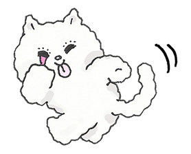 FOXY รูปที่ 20