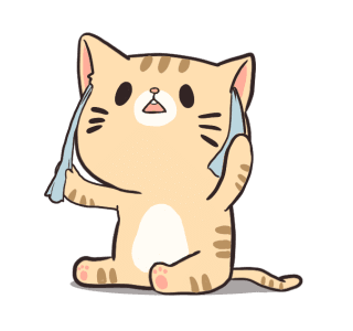 Boogy Tamy : Emotion รูปที่ 1
