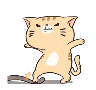 Boogy Tamy : Emotion รูปที่ 7