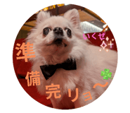 799646391