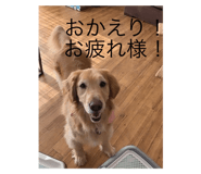 799652867