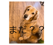 799652870