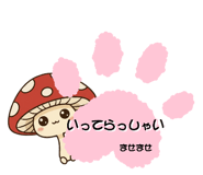 799671716