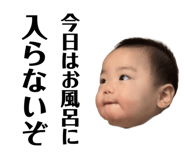 799677441