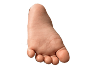 799677468