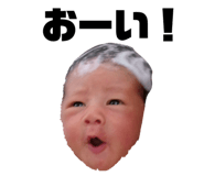 799679381