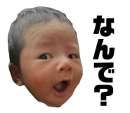 799679392