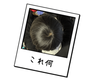 799696244