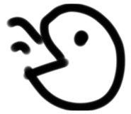 799696255