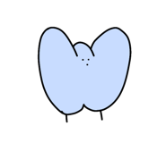 799708047