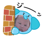 799744183