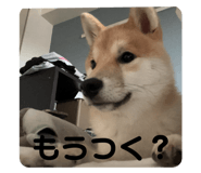 799744311