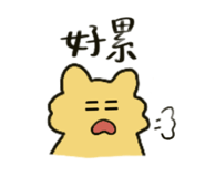 799745305