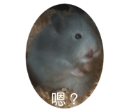 799769877