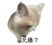 799770841