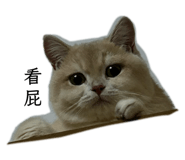 799770844