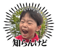 799815336