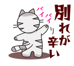 79981971