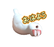 799824546