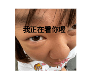 799825427