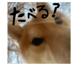 799831872