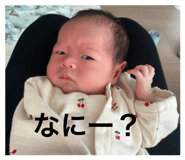 799838163