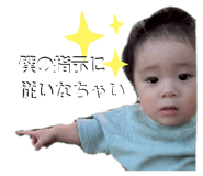 799865541