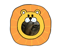 799881495