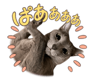 799906112