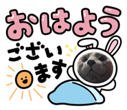 799906116